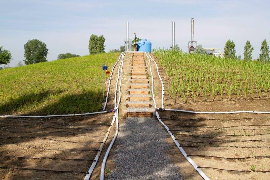 Israele ha portato in Italia la propria esperienza nella tecnica di irrigazione a goccia e ha realizzato il suo padiglione in funzione di questa tecnica. (ANSA)